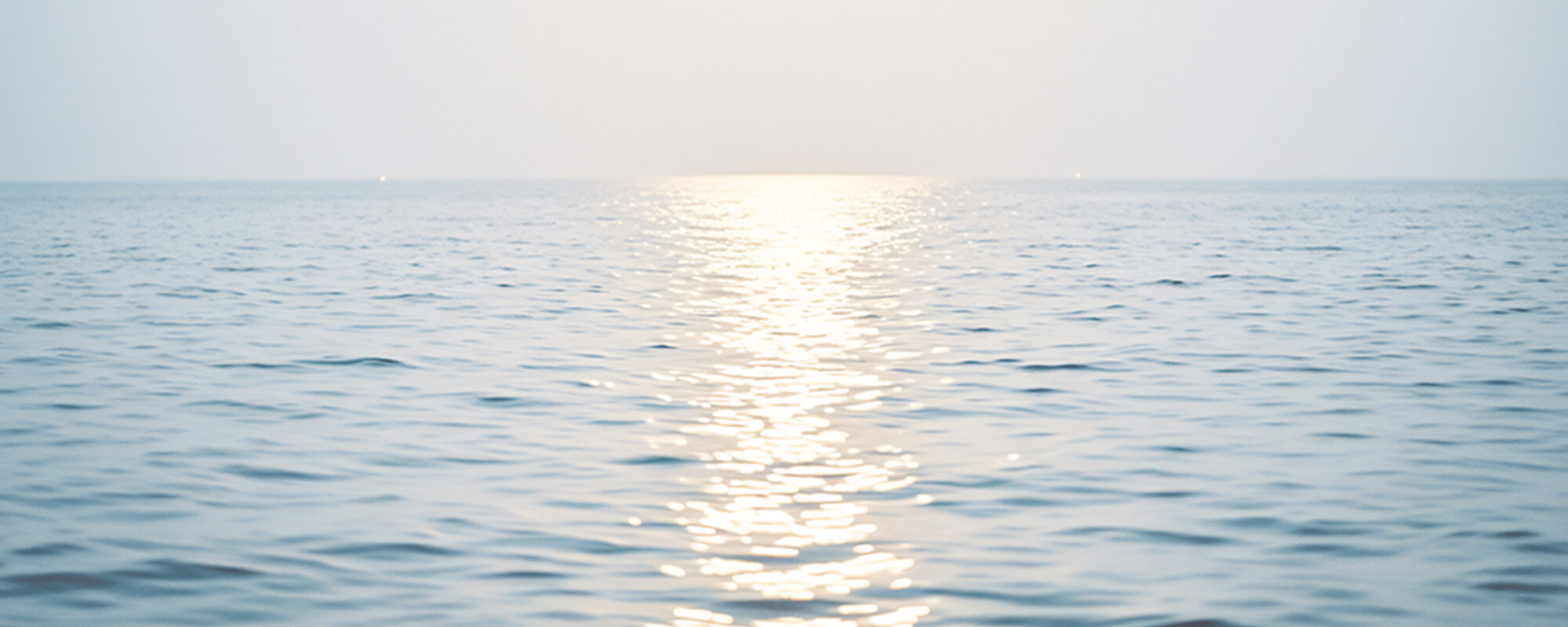 Heart & Partnership Coach Mimi